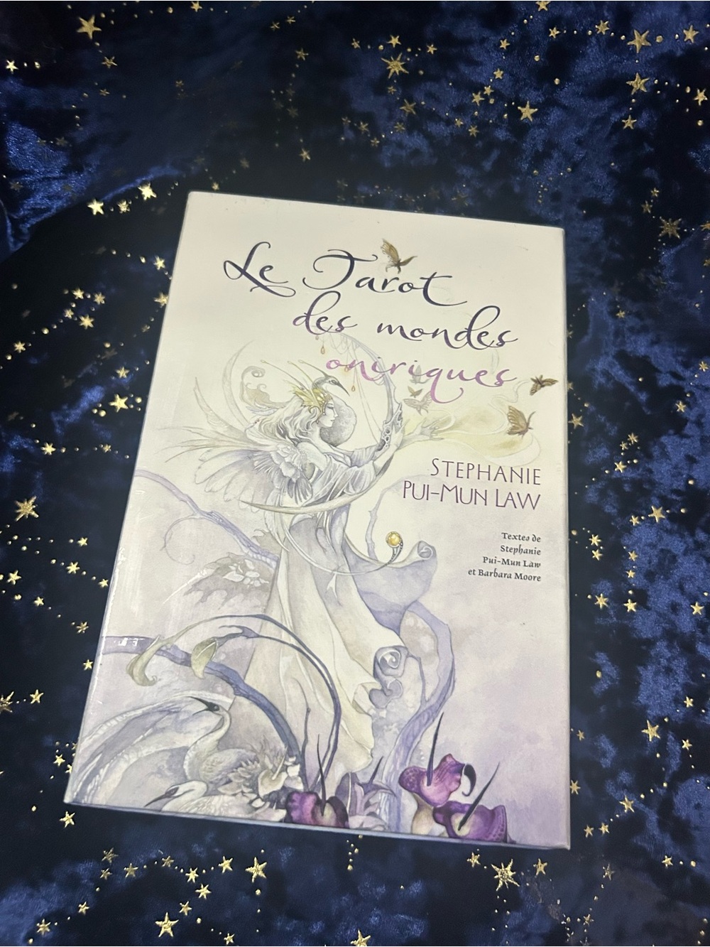 Le Tarot des Mondes Oniriques French 78 Cards